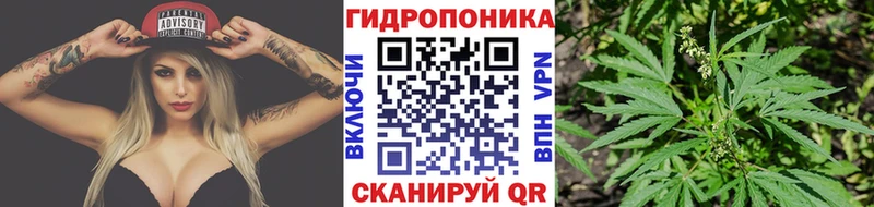 Канабис индика  как найти закладки  Боготол 